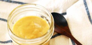 Moutarde fait maison au Thermomix