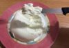 Philadelphia fait maison avec Thermomix