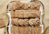 Spéculoos fait-maison au Thermomix