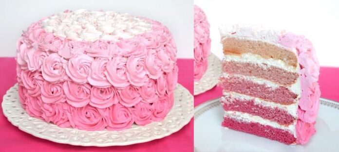 LAYER CAKE ROSE