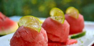 Sorbet à la Pastèque avec Thermomix