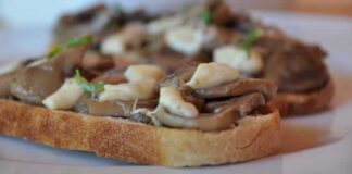 Toasts aux champignons et au fromage avec Thermomix