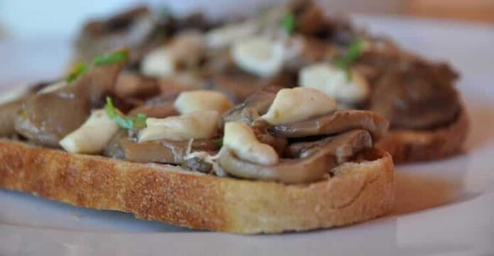 Toasts aux champignons et au fromage avec Thermomix