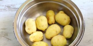 VIDÉO - Éplucher des pommes de terre avec Thermomix