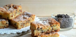 Gâteau Noix de Coco et Pépites de Chocolat au Thermomix
