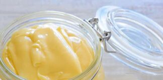 mayonaise sans huile au Thermomix