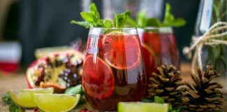 Mojito spécial Noël au Thermomix