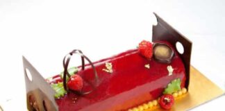 bûche bavaroise aux framboise avec Thermomix