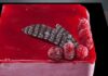 Bavarois aux framboises avec Thermomix