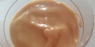 Crème pralinée façon Danette au Thermomix