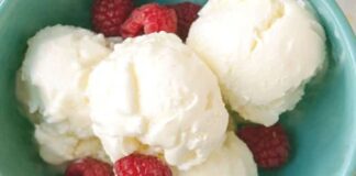 Glace au yaourt avec Thermomix