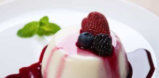 Panna cotta au yaourt WW