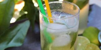 mojito léger WW