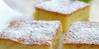 gâteau magique à la noix de coco au Thermomix