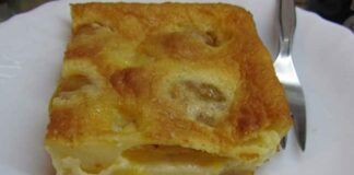 clafoutis aux mirabelles WW