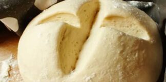 pâte à pizza italienne au thermomix