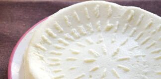ricotta maison au Thermomix