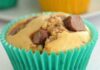 Muffins au Goût des Cookies au Thermomix