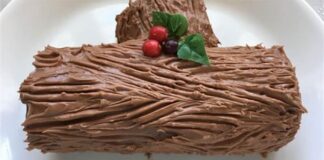 Bûche légère au chocolat