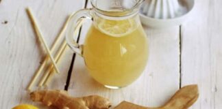 citronnade au gingembre au Thermomix