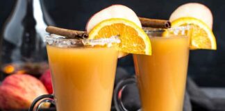 punch de Noël au Thermomix