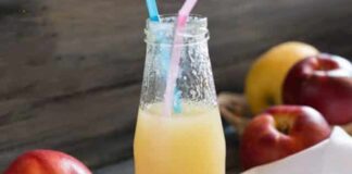 Jus de Pommes au Thermomix