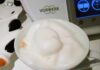 Cappuccino Maison au Thermomix
