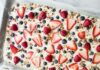 Barres glacées au yaourt et fruits de saison