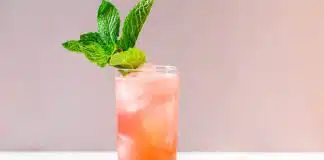Cocktail vodka fraise au Thermomix