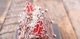 Bûche de Noël au nutella avec Thermomix