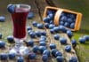 Liqueur de myrtille au Thermomix