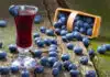 Liqueur de myrtille au Thermomix