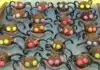 Araignées d’halloween
