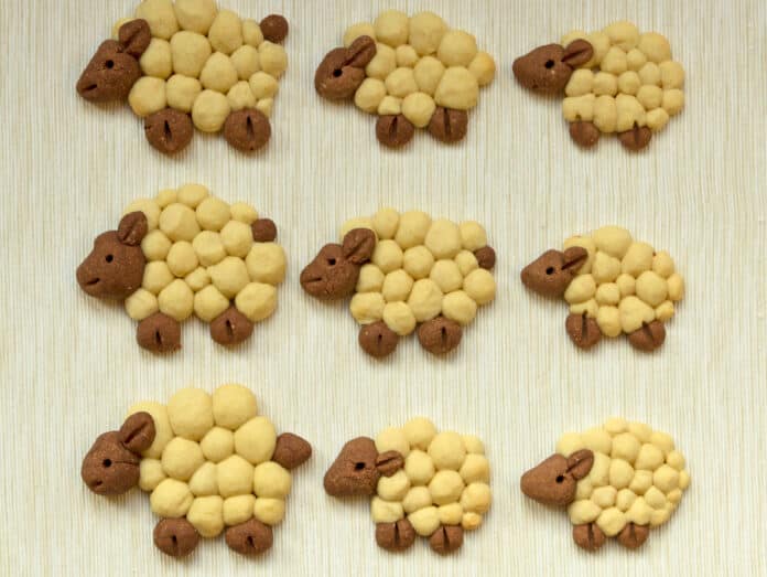 Biscuits en forme d'agneaux