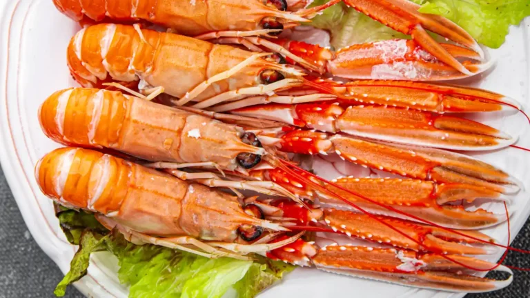Langoustines entières rosées aux longues pinces striées, disposées sur un plat blanc avec de la salade